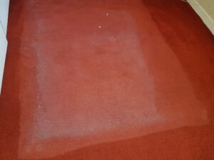 Carpet Cleaning Ballsbridge