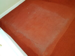 Carpet Cleaning Ballyfermot