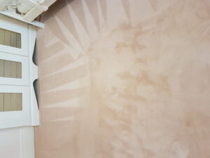 Carpet Cleaning Balbriggan