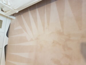 Carpet Cleaning Ballycullen