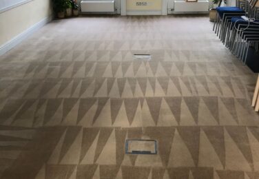 Dust Mites In Your Carpet