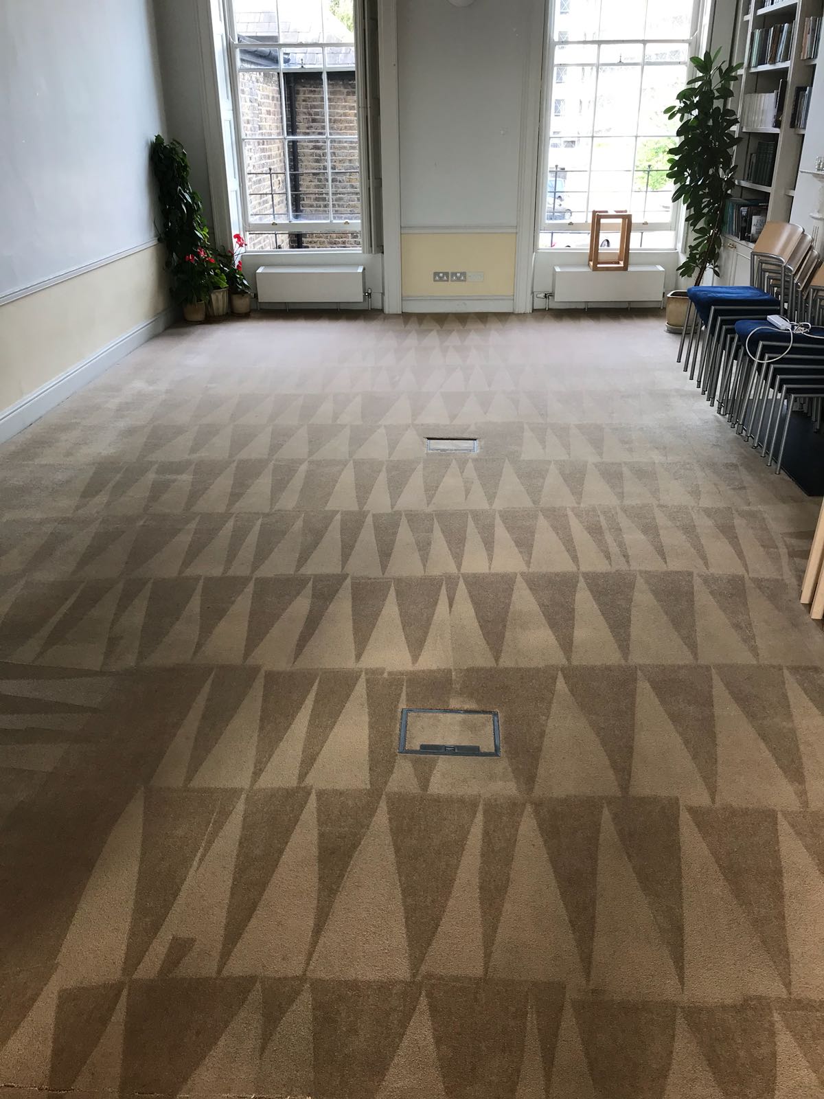 Dust Mites In Your Carpet
