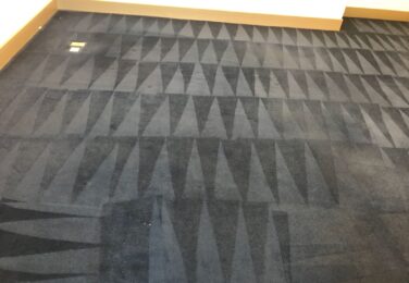 Benefits of professional carpet cleaning