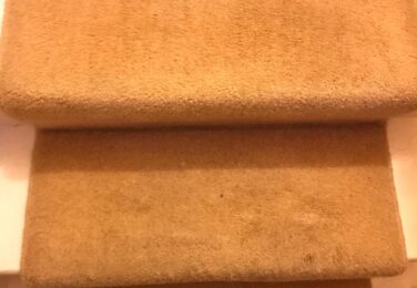 Pick The Best Carpet Cleaning in Dublin