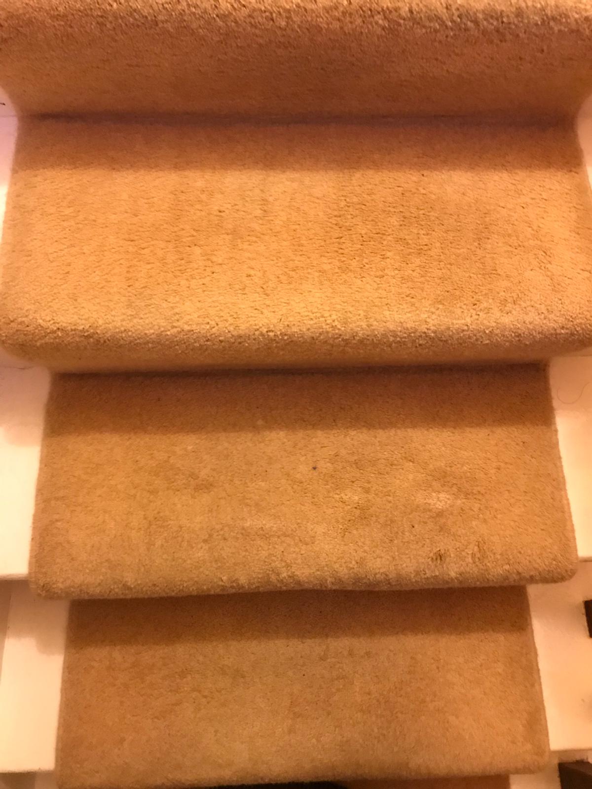 Pick The Best Carpet Cleaning in Dublin