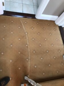Carpet Cleaning Churchtown