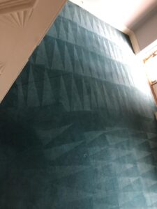 Carpet Cleaning Donnycarney