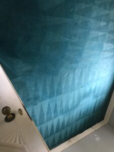 Carpet Cleaning Blessington