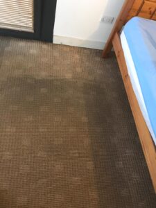 Carpet Cleaning Donnybrook