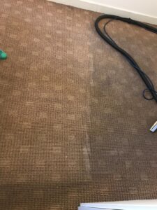 Carpet Cleaning Delgany