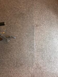 Carpet Cleaning Clontarf