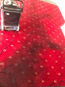 Carpet Cleaning Kinsealy