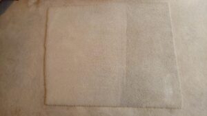 Carpet Cleaning Dundrum