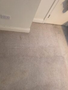 Carpet Cleaning Dublin 22