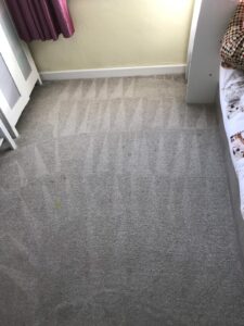 Carpet Cleaning Kildare