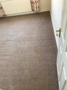 Carpet Cleaning Dublin 17