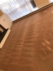 Carpet Cleaning Killiney