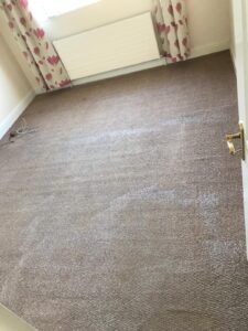 Carpet Cleaning Dublin 13