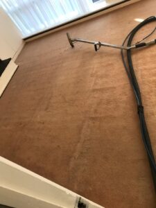 Carpet Cleaning Dublin 15