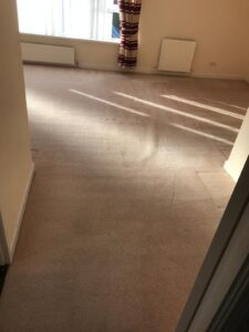 Carpet Cleaning Dublin 6
