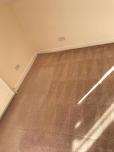 Carpet Cleaning Howth