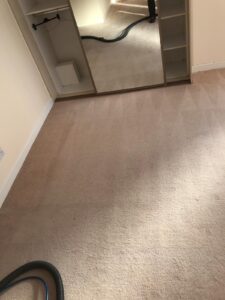 Carpet Cleaning Irishtown
