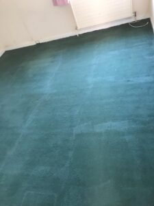 Carpet Cleaning Newbridge