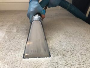Carpet Cleaning Balgriffin