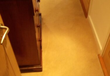 Carpet Cleaning Advice