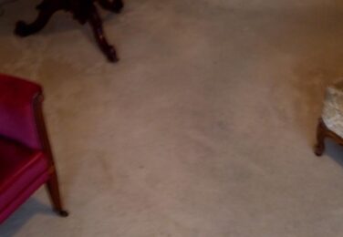 8 Carpet Cleaning Myths And Misconceptions Debunked