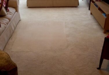 Has Carpet Cleaning Ever Been Easier?