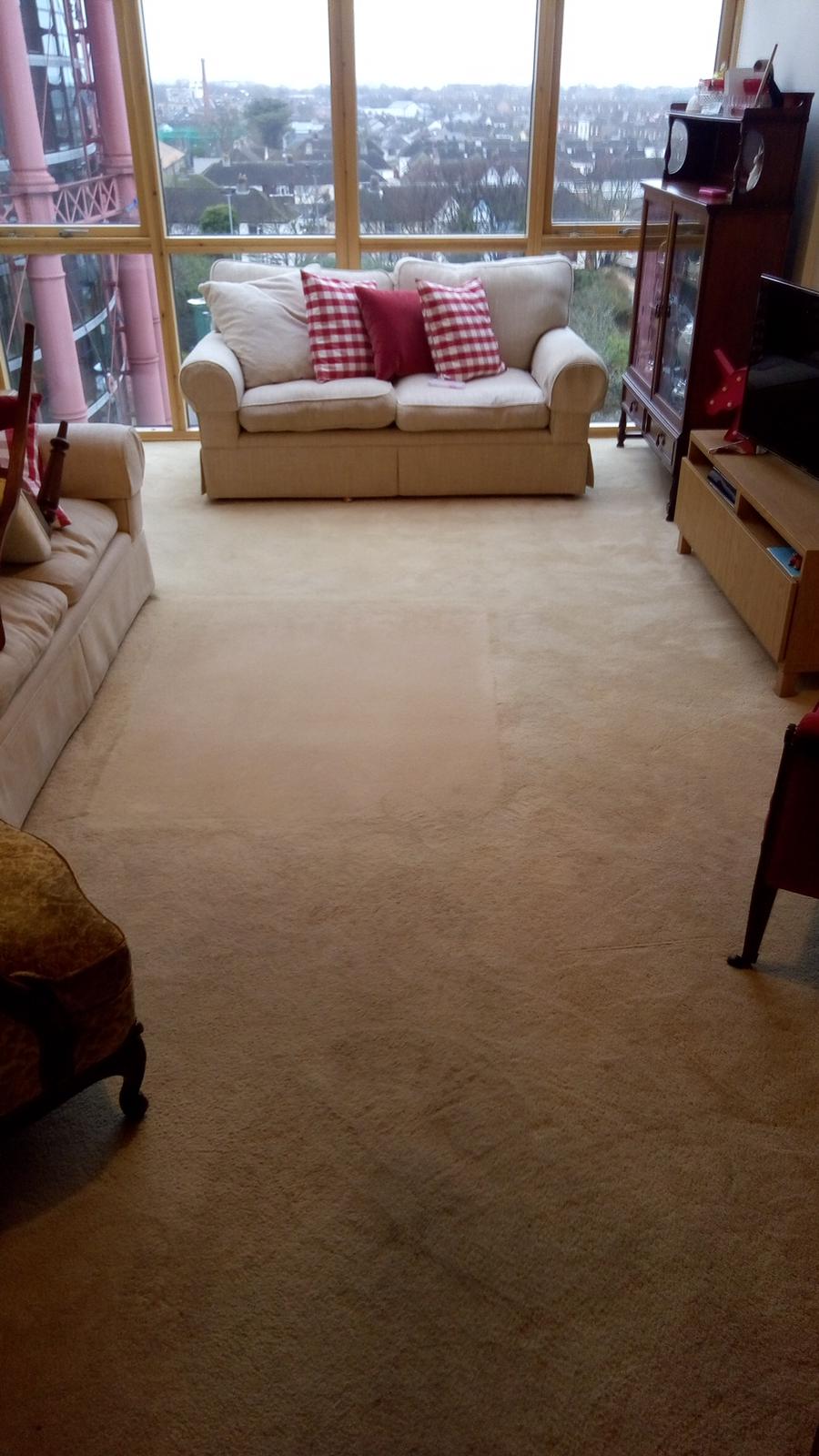 Has Carpet Cleaning Ever Been Easier?