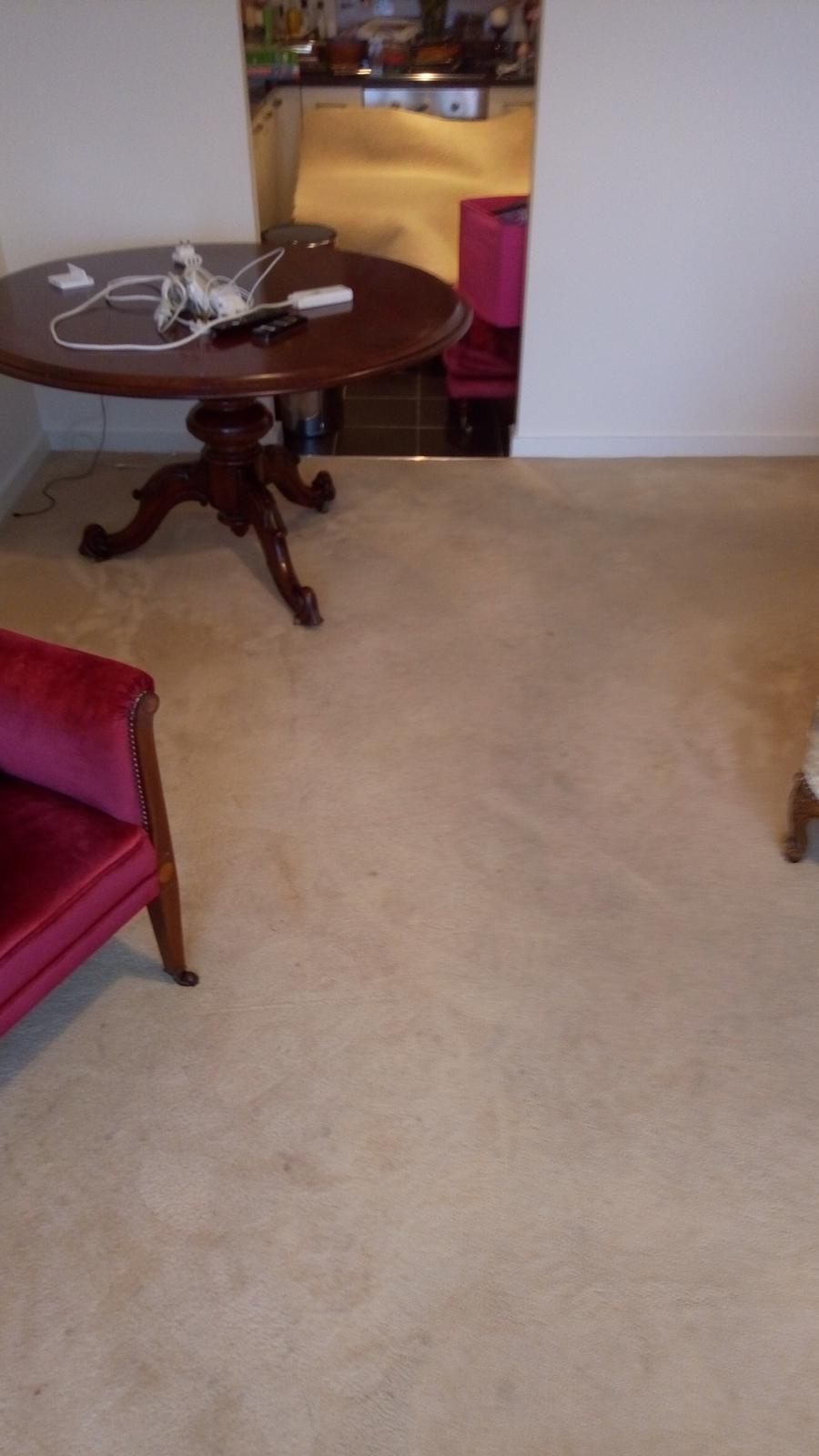 What Is Carpet Cleaning?