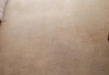 Why Get Services From Dublin-carpetcleaning.ie?