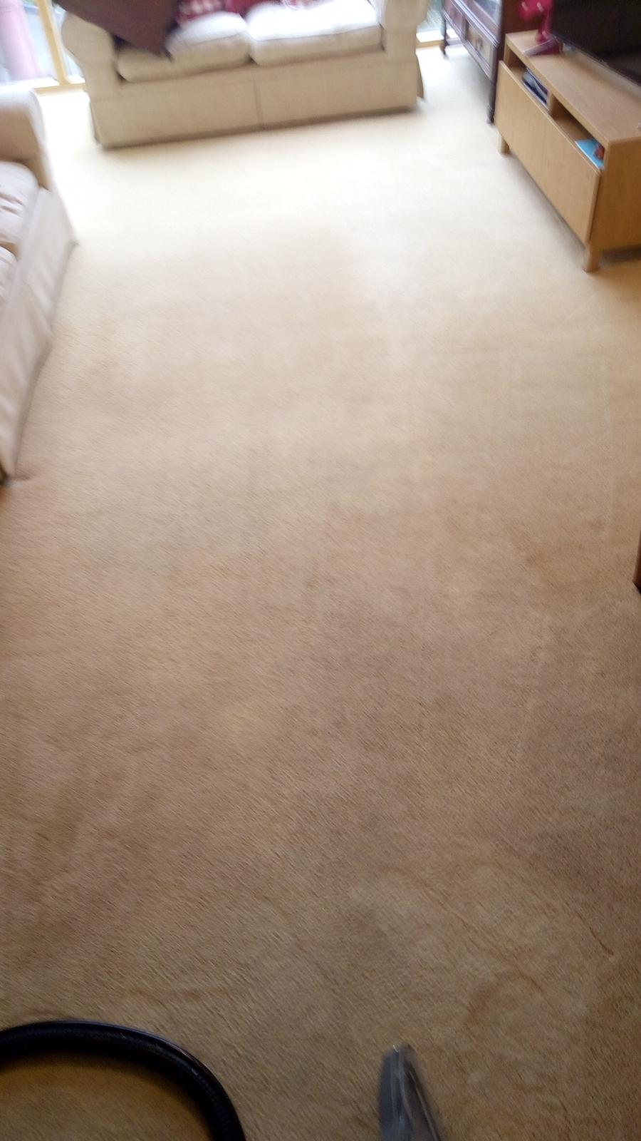 Why Get Services From Dublin-carpetcleaning.ie?