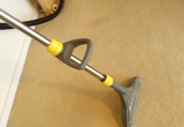 Professional Carpet Cleaning in Dublin