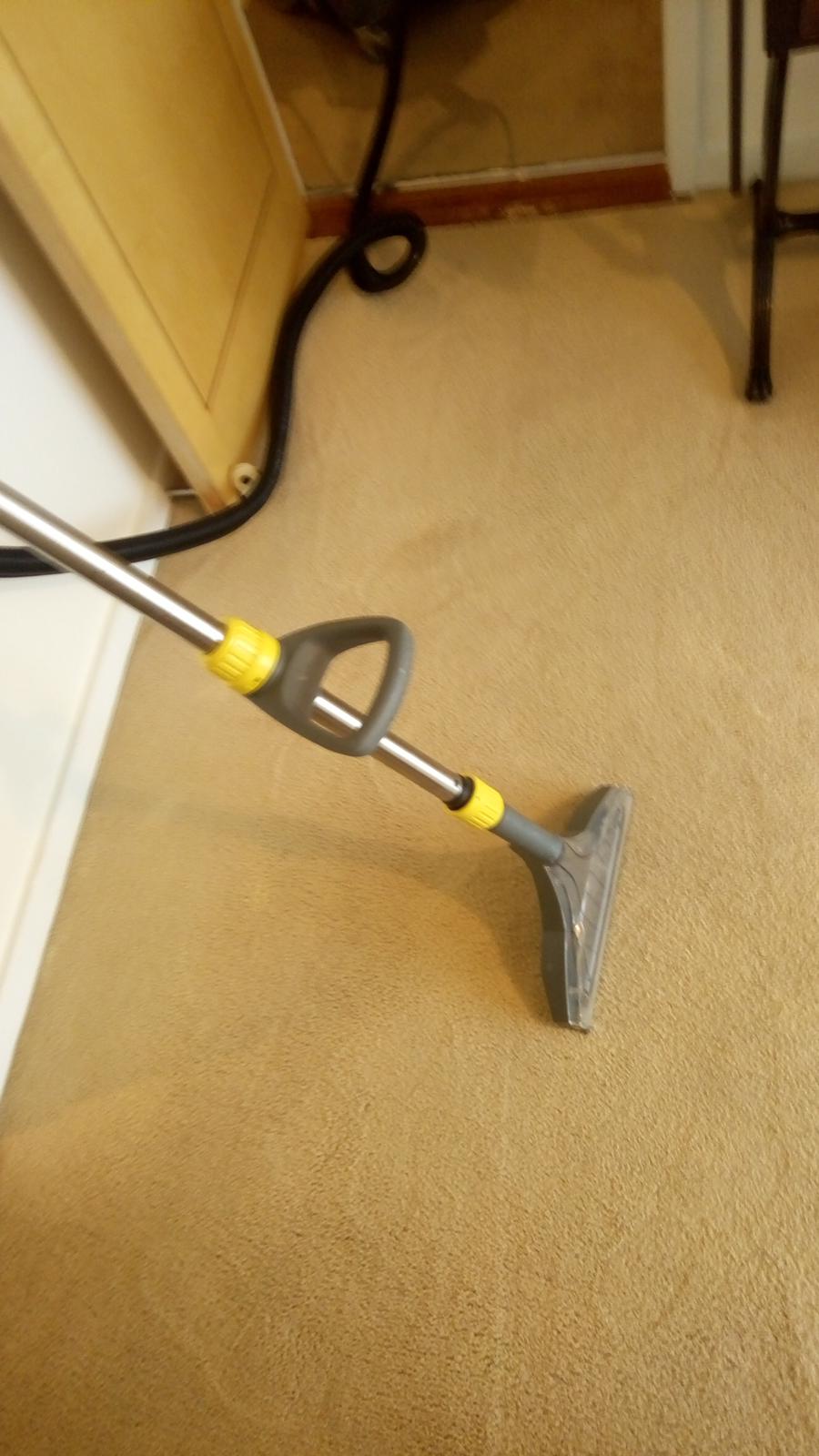 Professional Carpet Cleaning in Dublin