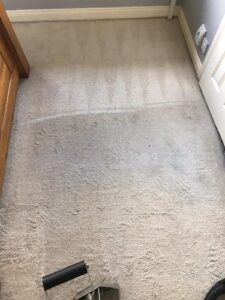 Carpet Cleaning Dublin 1
