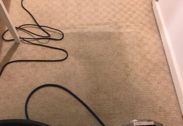 Affordable Carpet Cleaning Services