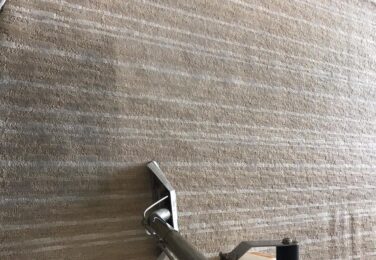 Eco Friendly Carpet Cleaning