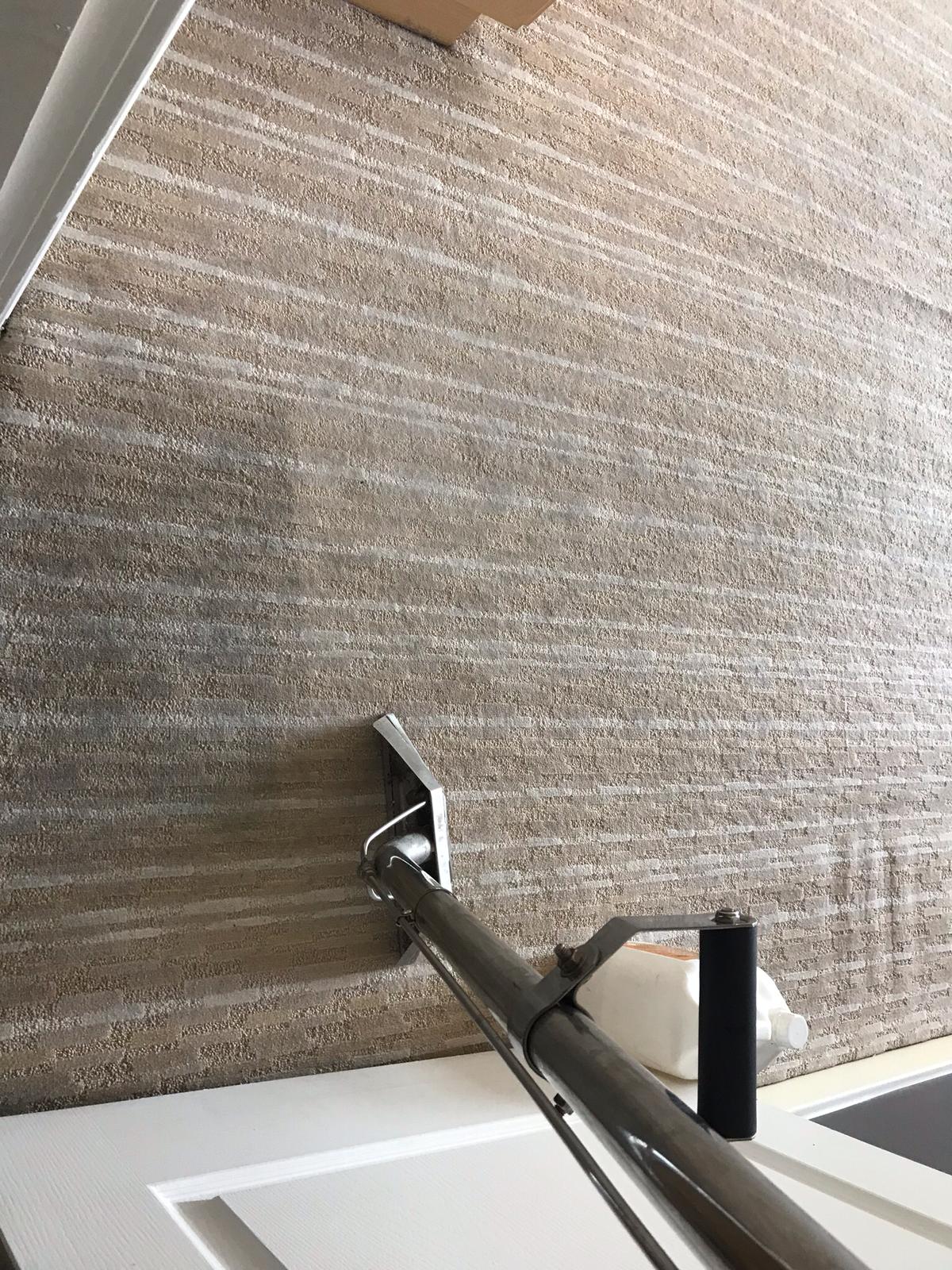 Eco Friendly Carpet Cleaning