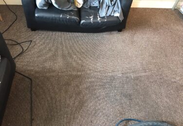 How Often Should I Get Carpet Cleaning Done?