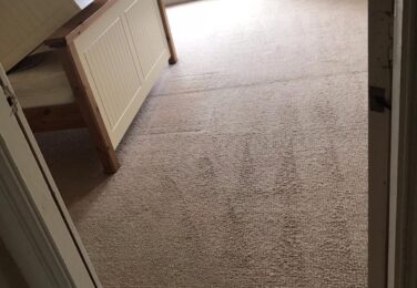 Use Professional Carpet Cleaning Contractors
