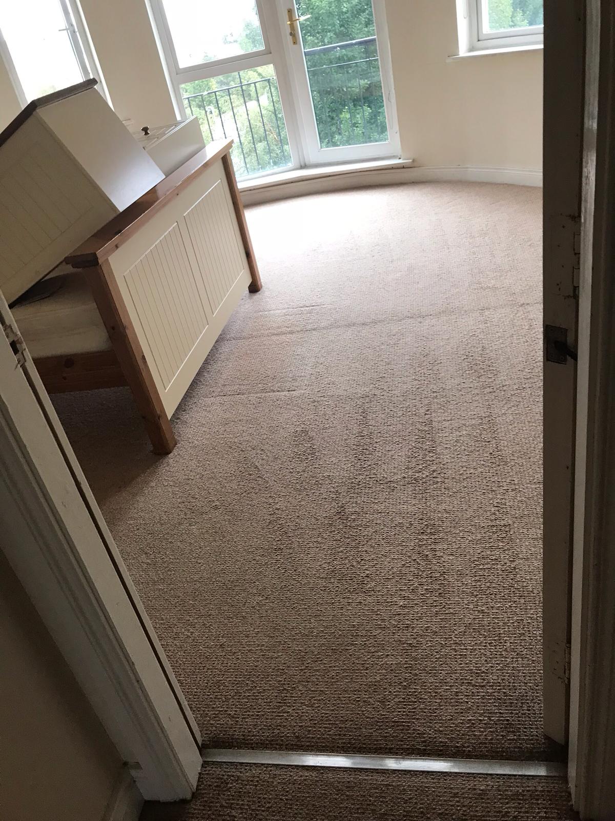 Use Professional Carpet Cleaning Contractors