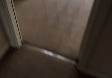 Recommend Carpet Cleaning Services
