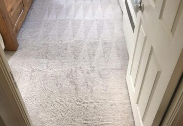 Carpet Cleaning Solutions