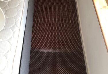 Green Carpet Cleaning Solutions