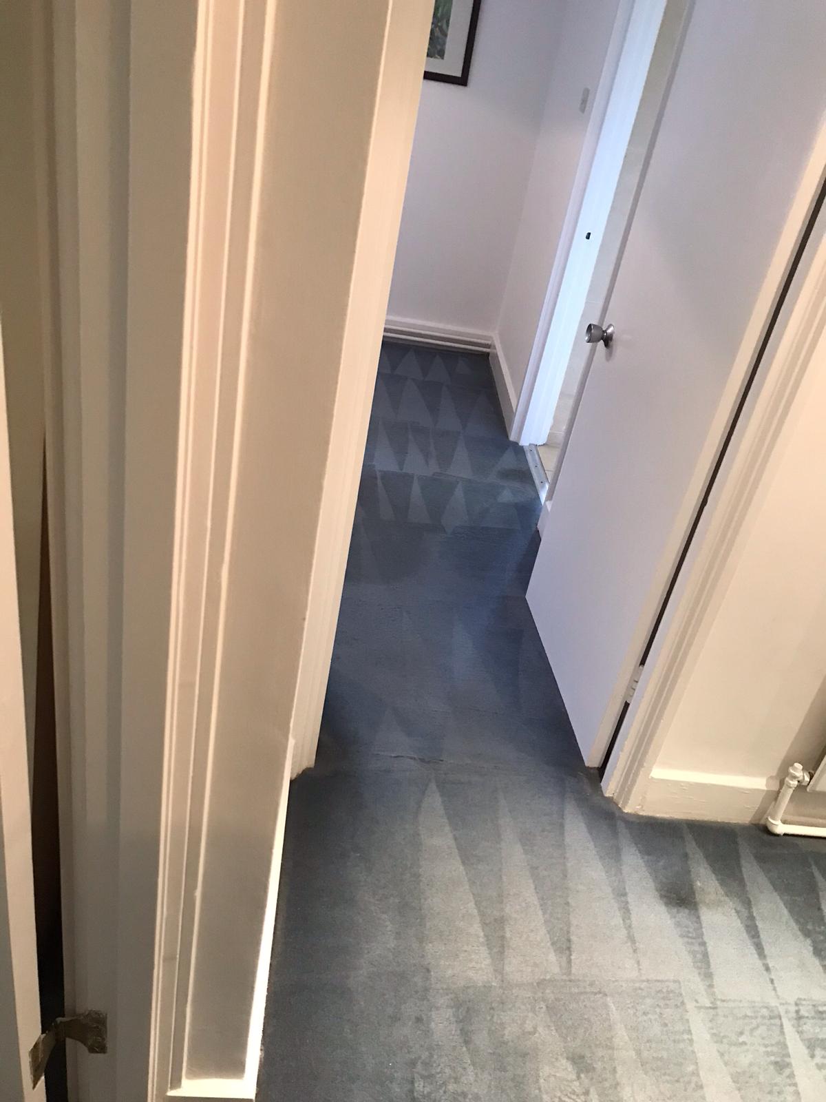 It Is Worth It Doing Your Own Carpet Cleaning?
