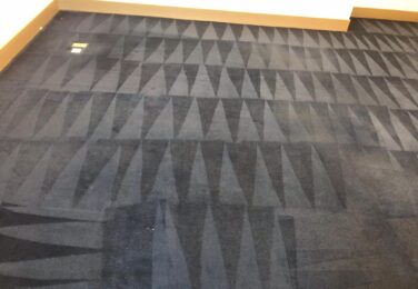 Why Replace Your Carpet When You Can Breathe New Life Into It?
