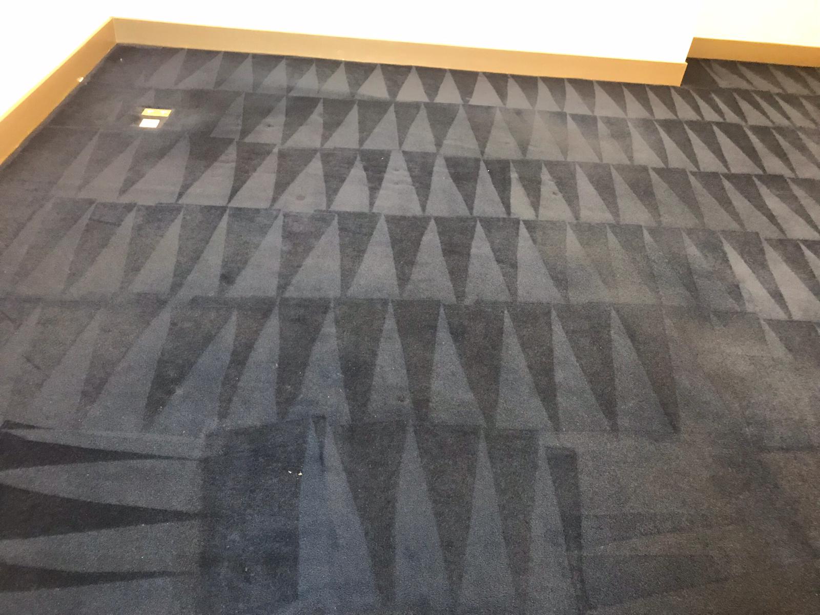 Why Replace Your Carpet When You Can Breathe New Life Into It?